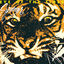 Cover Eye Of The Tiger