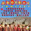 Cover Andinos Concert