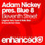 Cover Eleventh Street