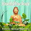 Cover Universal Sound of Buddha Bar