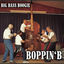 Cover Big Bass Boogie