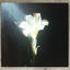 Cover Light That Leads Me