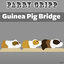 Cover Guinea Pig Bridge