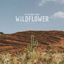 Cover Wildflower