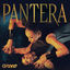 Cover Pantera
