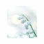 Cover Lilies of the Valley