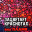 Cover Зацветает краснотал