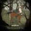 Cover The Wizard of Us