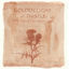 Cover Golden Light & Thistle