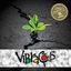 Cover Edição Comemorativa 15 Anos