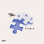 Cover Puzzle