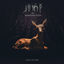 Cover Line of Fire (feat. Sharon Van Etten)