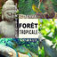 Cover Forêt tropicale - Nature, Animaux, Oiseaux, Zen musique de relaxation profonde pour détente, Méditation, Spa, Yoga, Bien-être et S