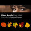 Cover Skorpia Filla