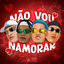 Cover Não Vou Namorar