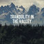 Cover Tranquility in the Valley