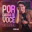 Cover Por Causa de Você / Recaída (Ao Vivo)