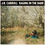 Cover Raging in the Dark