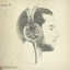 Cover Institution
