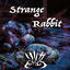 Cover Strange Rabbit