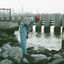 Cover Sea Sick