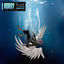Cover Fallen Angel