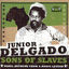 Cover Sons of Slaves