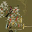 Cover KITTY HAWK (Remixed and Extended)