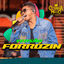 Cover Versão Forrozin