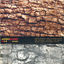 Cover Brazde