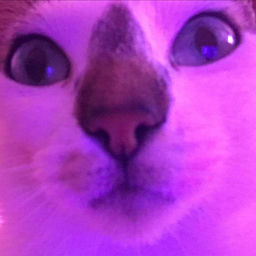 ''