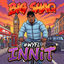 Cover Wyfl Innit