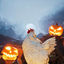Cover Halloween Chicken