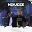Cover Ndiudze Zvese (feat. Ti Gonzi)