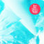 Cover Zoom