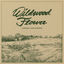 Cover Wildwood Flower