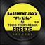 Cover Fly Life (Todd Terry Remix)