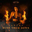 Cover Burn Them Down