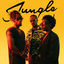 Cover Jungle