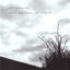 Cover The Absence Of Blight