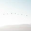 Cover Endless Flight