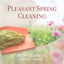 Cover Pleasant Spring Cleaning with Classical Piano Music