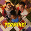 Cover Terminei