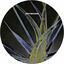 Cover Spectrum
