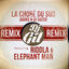 Cover La choré du sud (Remix)
