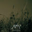 Cover To Lay Like Old Ashes