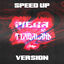 Cover MEGA DO TIMBALAND SPEED UP