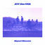 Cover Airport Blossom