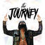 Cover The Journey