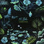 Cover Cenotes